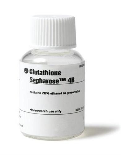 GE17-0756-01 | GLUTATHIONE SEPHAROSE 4B 10 ML