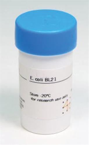 GE27-1542-01 | E. COLI BL21