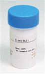 GE27-1542-01 | E. COLI BL21