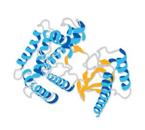 GF003 | Fibroblast Growth Factor basic Protein, Human recombinantThe Fibroblast Growth Factor-basic (FGF-b) is a heparin binding growth factor which stimulates the proliferation of a wide variety of cells including mesenchymal, neuroectodermal & endothelial cells.