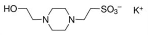 H0527-250G | HEPES POTASSIUM