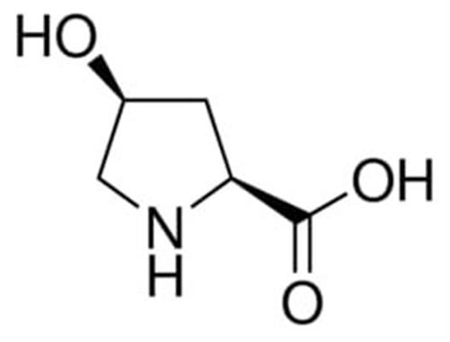 H1637-250MG | CIS 4 HYDROXY L PROLINE COLLAGEN SYNTHESIS INHIBIT