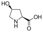H1637-250MG | CIS 4 HYDROXY L PROLINE COLLAGEN SYNTHESIS INHIBIT