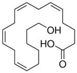 H3023-10UG | 20 HYDROXY 5Z 8Z 11Z 14Z EICOSATETRAENOIC ACID