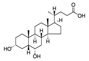 H3878-5G | HYODEOXYCHOLIC ACID FREE ACID