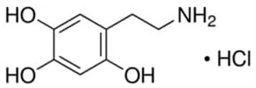 H4381-100MG | 6 HYDROXYDOPAMINE HYDROCHLORIDE 97 TITRATION