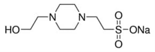 H7006-25G | HEPES SODIUM