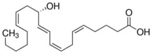 H7768-10UG | 12 S HYDROXY 5Z 8Z 10E 14Z EICOSATETRAENOIC ACID