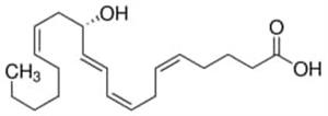 H7768-10UG | 12 S HYDROXY 5Z 8Z 10E 14Z EICOSATETRAENOIC ACID