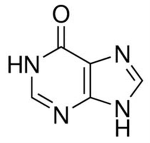 H9636-1G | HYPOXANTHINE BIOREAGENT SUITABLE FOR CELL CULTURE