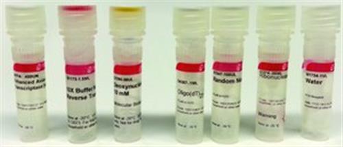 HSRT100-1KT | ENHANCED AVIAN HS RT PCR 100 KIT