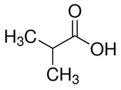 I1754-1L | ISOBUTYRIC ACID