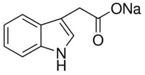 I5148-2G | INDOLE 3 ACETIC ACID SODIUM SALT BIOREAGENT 98 PLA