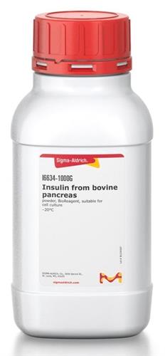 I6634-100MG | INSULIN FROM FROM BOVINE PANCREAS POWDER BIOREAGEN