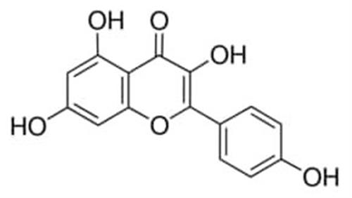 K0133-50MG | KAEMPFEROL