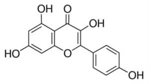 K0133-50MG | KAEMPFEROL