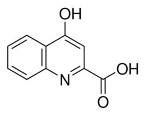 K3375-250MG | KYNURENIC ACID
