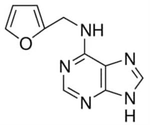 K3378-1G | KINETIN BIOREAGENT PLANT CELL CULTURE TESTED