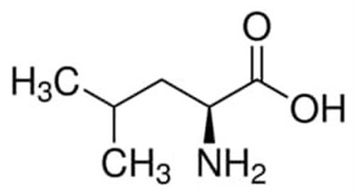 L8912-25G | L LEUCINE NON ANIMAL SOURCE CELL CULTURE TESTED ME