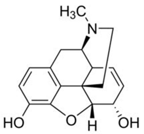 M-030-1ML | MORPHINE100 G ML IN METHANOL AMPULE OF 1 ML CERTIF