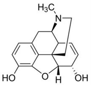M-030-1ML | MORPHINE100 G ML IN METHANOL AMPULE OF 1 ML CERTIF