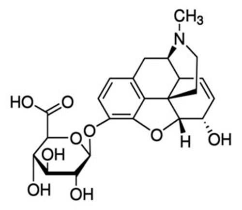 M-031-1ML | Morphine-3-β-D-glucuronide solution1 mg/mL in methanol with 0.05% NaOH, ampule of 1 mL, certified reference material