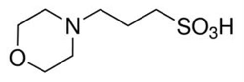 M1254-250G | MOPS FREE ACID