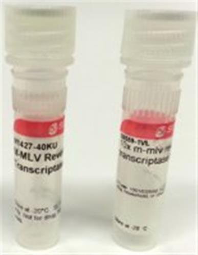 M1302-40KU | M MLV REVERSE TRANSCRIPTASE
