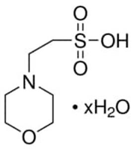 M2933-1KG | MES HYDRATE BIOPERFORMANCE CERTIFIED SUITABLE FOR