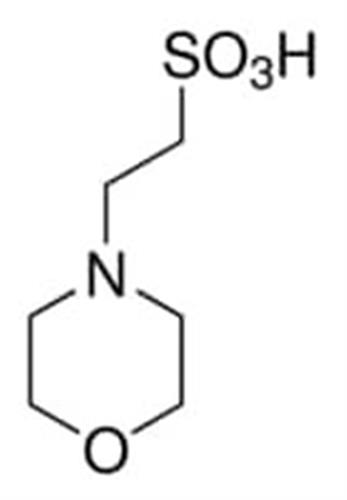 M3671-50G | MES LOW MOISTURE CONTENT