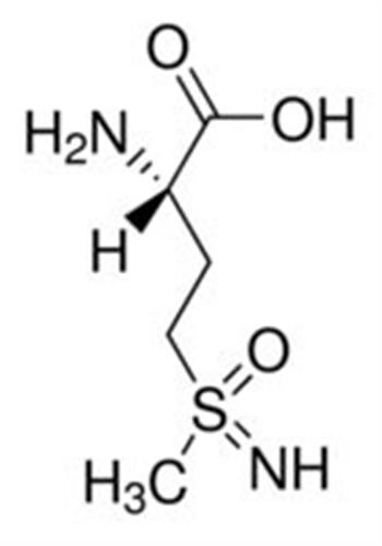M5379-500MG | L METHIONINE SULFOXIMINE