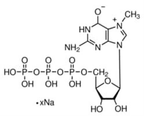 M6133-5MG | 7 METHYLGUANOSINE 5 TRIPHOSPHATE SODIUM APPROX. 90
