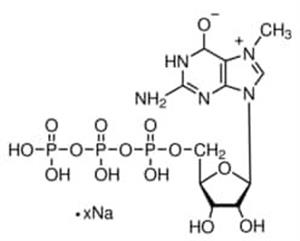 M6133-5MG | 7 METHYLGUANOSINE 5 TRIPHOSPHATE SODIUM APPROX. 90