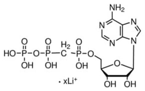 M6517-10MG | A B METHYLENEADENOSINE 5 TRIPHOSPHATE LITHIUM