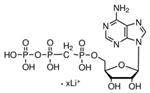M6517-10MG | A B METHYLENEADENOSINE 5 TRIPHOSPHATE LITHIUM