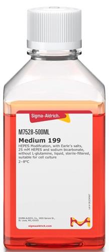 M7528-500ML | E199 W HEPES 500ML