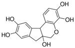 MHS128-4L | Hematoxylin Solution Mayer s