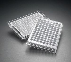 MSBVN1250 | MSCN HTS BV DURA PVDF 1.2UM CLR NS 50 PK