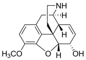N-005-1ML | NORCODEINE1.0 MG ML IN METHANOL AMPULE OF 1 ML CER
