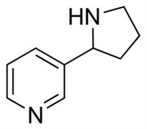 N-071-1ML | NORNICOTINE1.0 MG ML IN METHANOL AMPULE OF 1 ML C