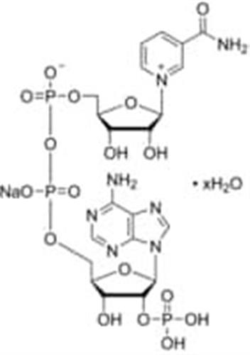 N0505-1G | B NICOTINAMIDE ADENINE DINUCLEOTIDE PHOSPHATE SODI