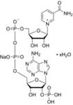 N0505-1G | B NICOTINAMIDE ADENINE DINUCLEOTIDE PHOSPHATE SODI
