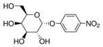 N0877-1G | P NITROPHENYL A D GALACTOPYRANOSIDE