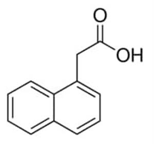 N1641-50ML | 1 NAPHTHYLACETIC ACID 1 MG ML BIOREAGENT PLANT CEL