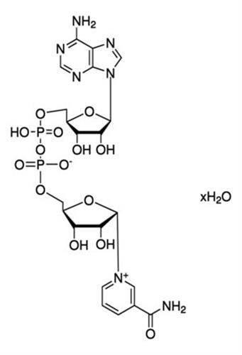 N3014-100MG | BETA NICOTINAMIDE ADENINE DINUCLEOTIDE HYDRATE CEL