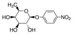 N3378-25MG | 4 NITROPHENYL B D FUCOPYRANOSIDE