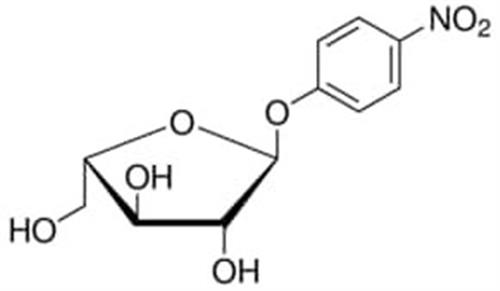 N3641-25MG | P NITROPHENYL A L ARABINOFURANOSIDE