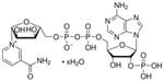 N5755-1G | B NICOTINAMIDE ADENINE DINUCLEOTIDE PHOSPHATE FREE