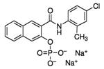 N6125-100MG | NAPHTHOL AS TR PHOSPHATE DISODIUM SALT
