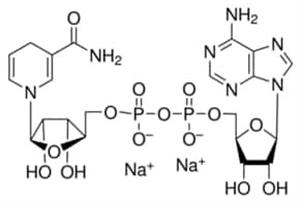 N6785-10VL | BETA NAD REDUCED FORM DISODIUM 10 MG PRE WEIGHED V